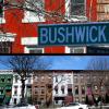 Cover image for Bushwiki report